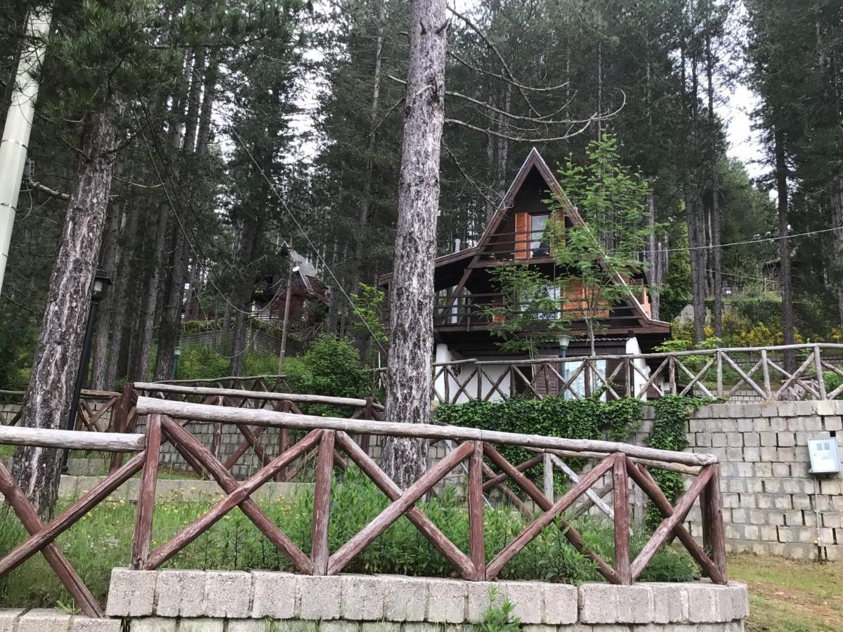 Chalet Natura Sport&Relax Cavaliere  外观 照片