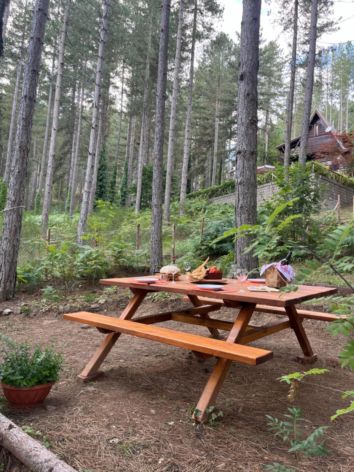 Chalet Natura Sport&Relax Cavaliere  外观 照片